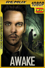 El Despertar de un Asesino (2019) 1080p REMUX Latino
