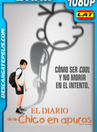 El diario de un chico en apuros (2010) 1080p BRrip Latino