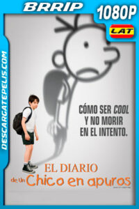 El diario de un chico en apuros (2010) 1080p BRrip Latino