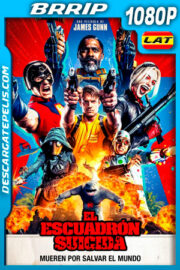 El Escuadrón Suicida (2021) 1080p BRrip Latino