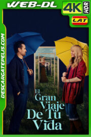 El gran viaje de tu vida (2025) 4k WEB-DL HDR Latino
