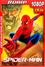 El Hombre Araña (2002) BDRip 1080p Latino