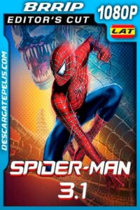 El Hombre Araña 3.1 (2007) Editor Cut 1080p BRRip Latino