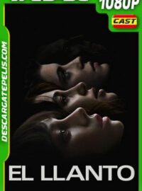 El llanto (2024) 1080p WEB-DL Español