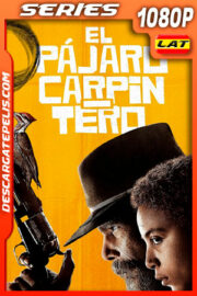 El pájaro carpintero (2020) Temporada 1 1080p WEB-DL Latino