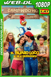 El Pájaro Loco se va de campamento (2024) 1080p WEB-DL Latino