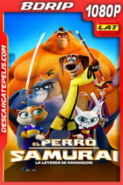 El perro samurái: La leyenda de Kakamucho (2022) 1080p BDRip Latino