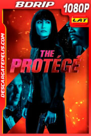 El Protegido (2021) 1080p BDrip Latino