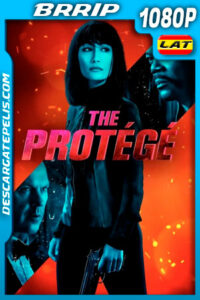 El Protegido (2021) 1080p BRrip Latino