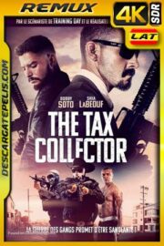 El Recolector (2020) 4k Remux SDR Latino