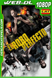El robo perfecto (2018) 1080p WEB-DL Latino