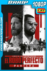 El robo perfecto: Pantera (2025) 1080p BRrip Latino