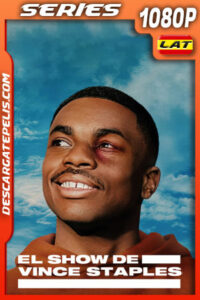 El show de Vince Staples Temporada 1 (2024) 1080p WEB-DL Latino