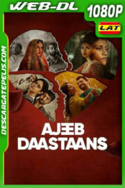 El tercero en discordia (2021) 1080p WEB-DL Latino