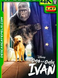 El único y gran Iván (2020) 4K WEB-DL HDR Latino
