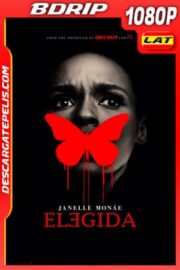 Elegida (2020) 1080p BDRip Latino