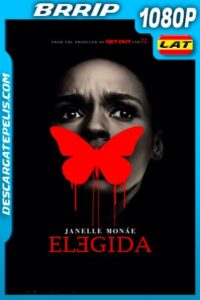 Elegida (2020) 1080p BRRip Latino