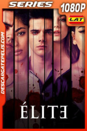 Élite Temporada 6 (2022) 1080p WEB-DL Latino