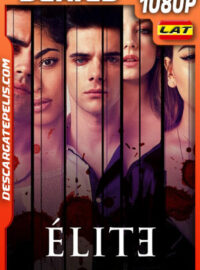 Élite Temporada 6 (2022) 1080p WEB-DL Latino