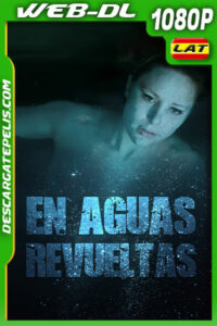 En aguas revueltas (2019) 1080p WEB-DL Latino