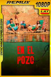 En el pozo (2019) 1080p Remux Latino