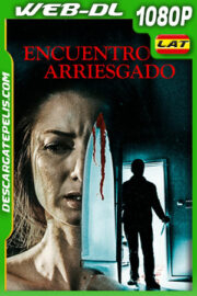 Encuentro Arriesgado (2021) 1080p WEB-DL Latino