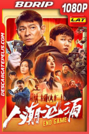 Endgame – Robo de Identidad (2021) 1080p BDRip Latino