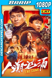 Endgame – Robo de Identidad (2021) 1080p BRRip Latino