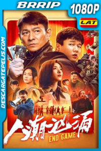 Endgame – Robo de Identidad (2021) 1080p BRRip Latino