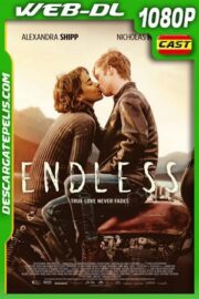 Un amor sin fin (2020) 1080p WEB-DL Castellano