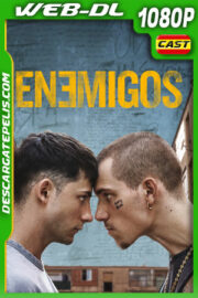 Enemigos (2025) 1080p WEB-DL Español