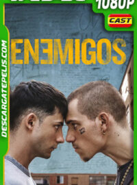 Enemigos (2025) 1080p WEB-DL Español