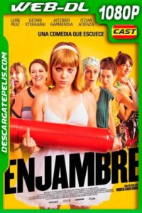 Enjambre (2020) 1080p WEB-DL