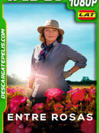 Entre rosas (2020) 1080p WEB-DL Latino