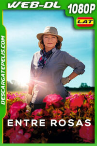 Entre rosas (2020) 1080p WEB-DL Latino