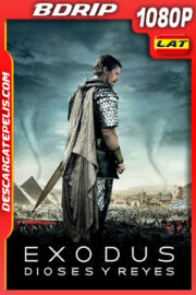 Éxodo: Dioses y Reyes (2014) 1080p BDRIP Latino