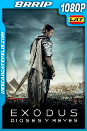 Éxodo: Dioses y Reyes (2014) 1080p BRRIP Latino