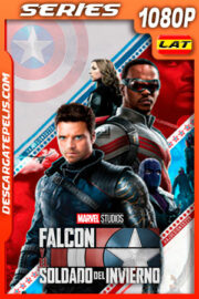 Falcon y el Soldado de Invierno Temporada 1 (2021) 1080p WEB-DL Latino