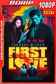 First Love (2019) 1080p BDRip Castellano