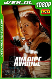 Flechas de la venganza (2022) 1080p WEB-DL Latino