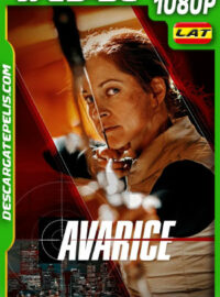 Flechas de la venganza (2022) 1080p WEB-DL Latino