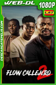 Flow callejero 2 (2023) 1080p WEB-DL Latino