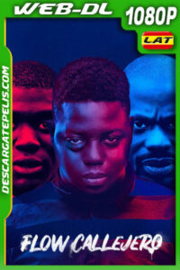 Flow callejero (2019) 1080p WEB-DL Latino
