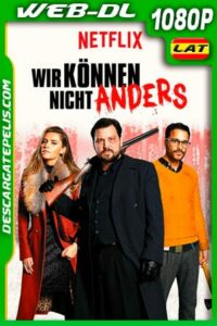 Fuego Cruzado por Navidad (2020) 1080p WEB-DL Latino