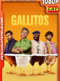 Gallitos Temporada 1 (2025) 1080p WEB-DL Latino
