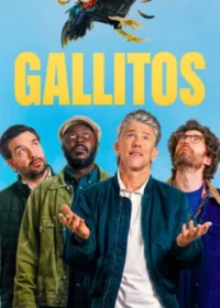 Gallitos  Temporadas (1-2) Latino