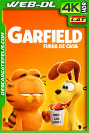 Garfield: fuera de casa (2024) 4k WEB-DL HDR Latino