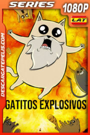 Gatitos explosivos Temporada 1 (2024) 1080p WEB-DL Latino