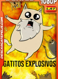 Gatitos explosivos Temporada 1 (2024) 1080p WEB-DL Latino