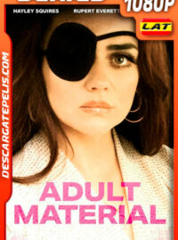 Adult Material (2020) Temporada 1 1080p WEB-DL Latino